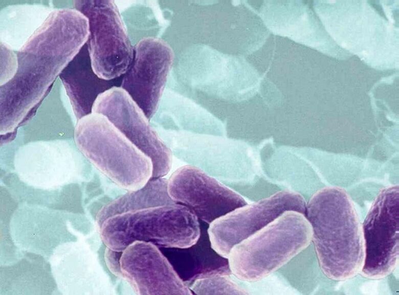 Prostatitis Kausalmittel bei Männern mit sexuell übertragbaren Krankheiten